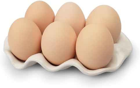 Ceramic 6 Cups Egg Tray,Half Dozen Porcelain Egg Holder Container Keeper Storage Organizer, Decorative Serving Stand Serveware for Refrigerator Fridge Countertop Display Kitchen (white)