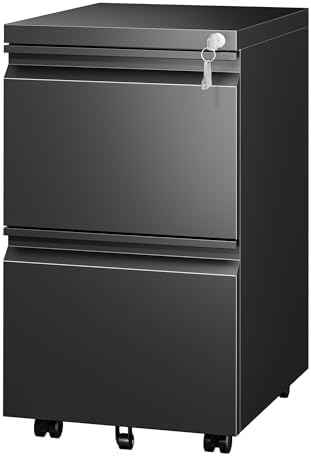 Fully Assembled 2 Drawer Mobile File Cabinet with Lock