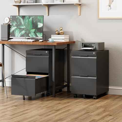 2 Drawer Metal Rolling File Cabinet with Lock, Under Desk Mobile Filing Cabinet for Home Office, Printer Stand with Casters Fits A4/Letter/Legal Size Documents, Black