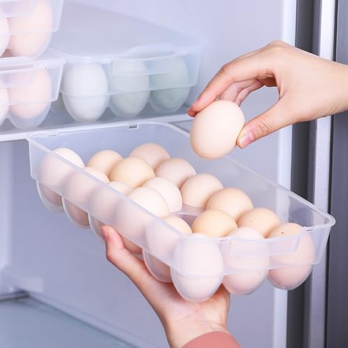 4-Pack Refrigerator Egg Storage Container, Clear Covered Egg Holder