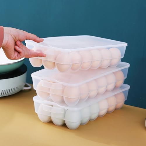 4-Pack Refrigerator Egg Storage Container, Clear Covered Egg Holder