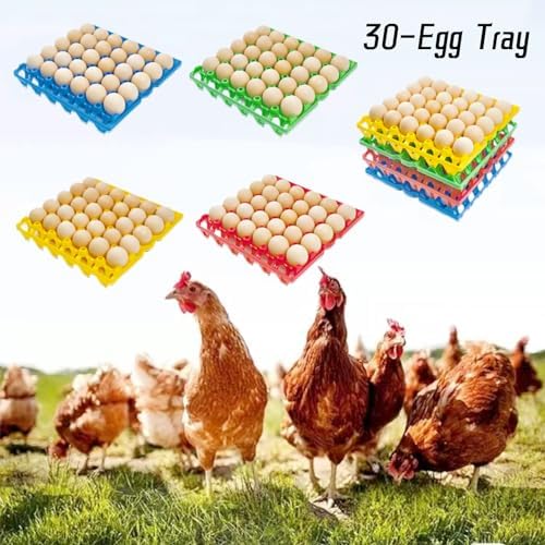 4-Pack Plastic Egg Tray Egg Crates 30-Egg Flats for Home Chicken Farmers, Stackable Egg Cartons Hold Multiple Eggs, Great for Storing, Sorting, and Shipping Eggs, Durable and Reusable (Red)