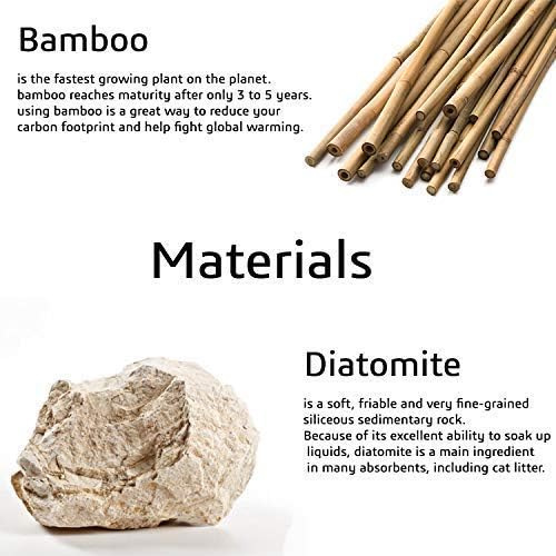 Matani Bamboo Toothbrush Holder Diatomite Tooth Brush Organizer - Image 5
