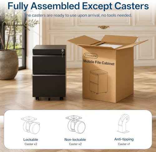 Fully Assembled 2 Drawer Mobile File Cabinet with Lock