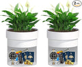 Sdstone Fireresistant Waterproof Flower Pot Diversion Safe by Sdstone