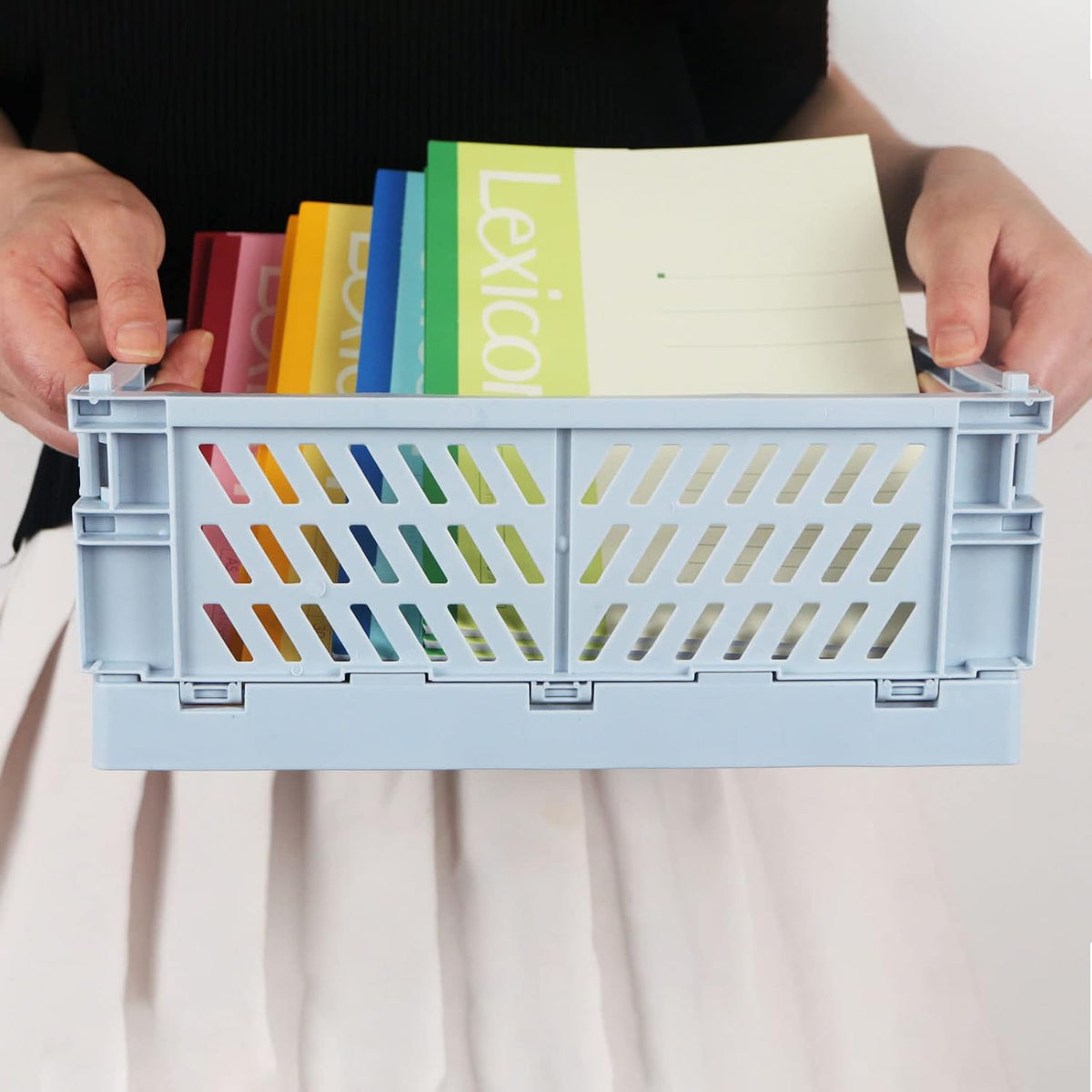 Tixill 2-Pack Mini Foldable Plastic Baskets for Organizing and