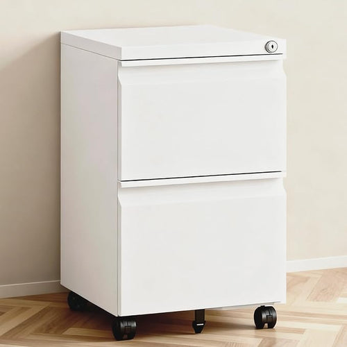 2 Drawer File Cabinet with Lock, Under Desk Rolling Small Filing Cabinet by TEEALUBAN
