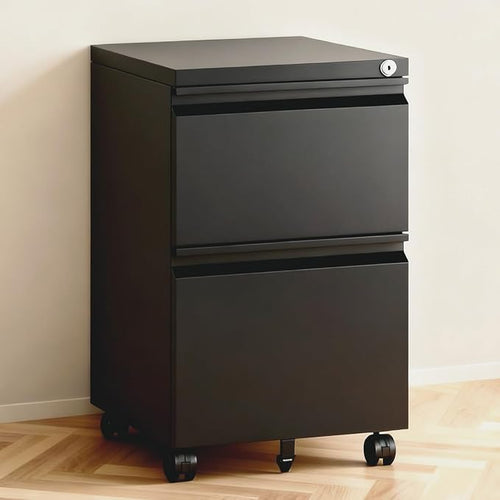 2 Drawer File Cabinet with Lock, Under Desk Rolling Small Filing Cabinet by TEEALUBAN