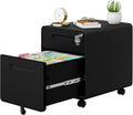 2 Drawer File Cabinet with Lock and 4 Keys, Mobile Metal Filing Cabinet by LVSTEEL