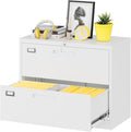 Lateral File Cabinet with Lock, 2 Drawer Large Metal Filing Cabinet, Home by Fesbos