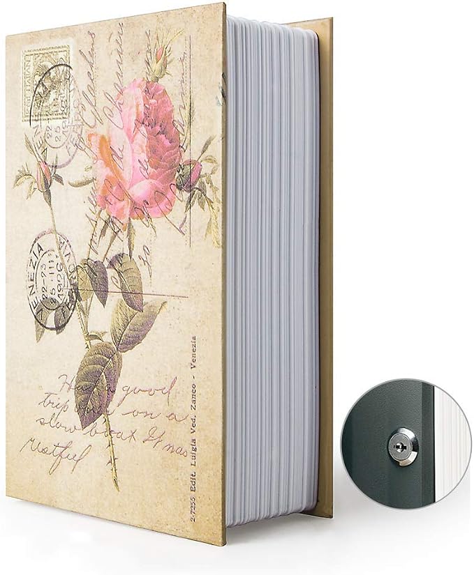 Diversion Book Safe Storage Box, Dictionary Secret Safe Can by PACOLO
