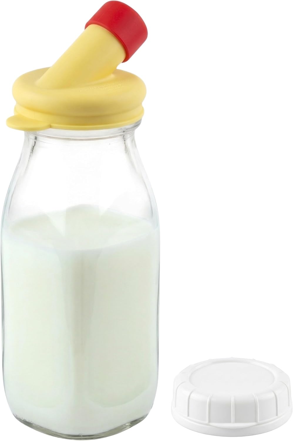 kitchentoolz Glass Creamer Bottle 12 Oz Square Glass Milk Bottle with