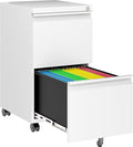 SISESOL Assembled 2 Drawer File Cabinet on Wheels, Metal Filing Cabinet by SISESOL