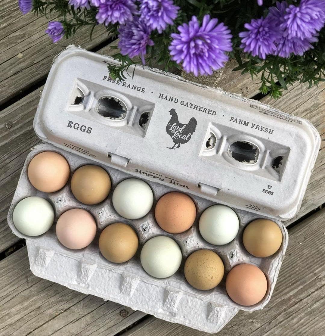 Printed Farm Fresh Egg Cartons - Holds Up to XL Chicken Eggs (25, Hen)