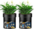 Sdstone 2pack Flower Pot Diversion Safe by Sdstone