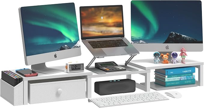 LAND·VOI Heavy Duty Dual Monitor Stand, Holds 2 Screens Up to 27 Inches by LAND%C2%B7VOI