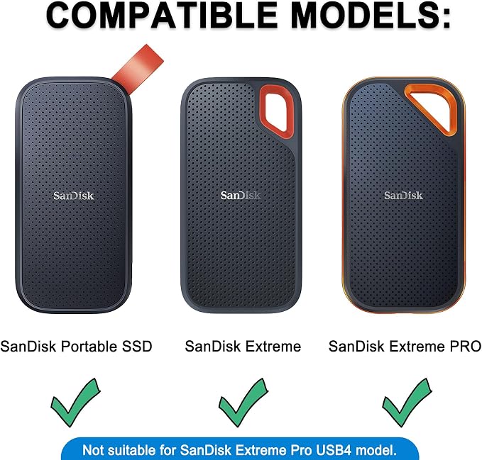 Lacdo Hard Carrying Case for SanDisk Extreme Pro/SanDisk Extreme Portable - Image 2