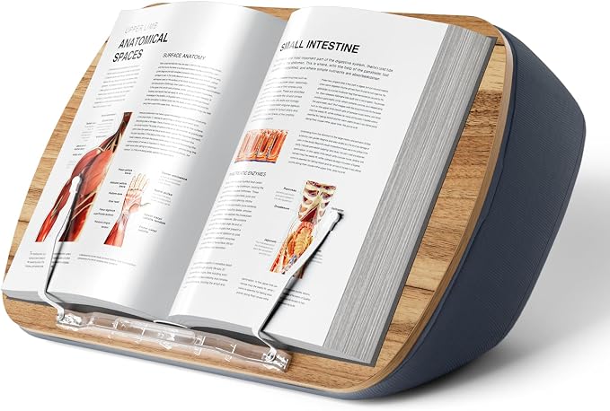 Lap Beanbag Book Stand for Hands Free Reading Comfortable Reading Pillow Stand by ERGONOV