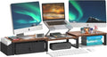LAND·VOI Heavy Duty Dual Monitor Stand, Holds 2 Screens Up to 27 Inches by LAND%C2%B7VOI