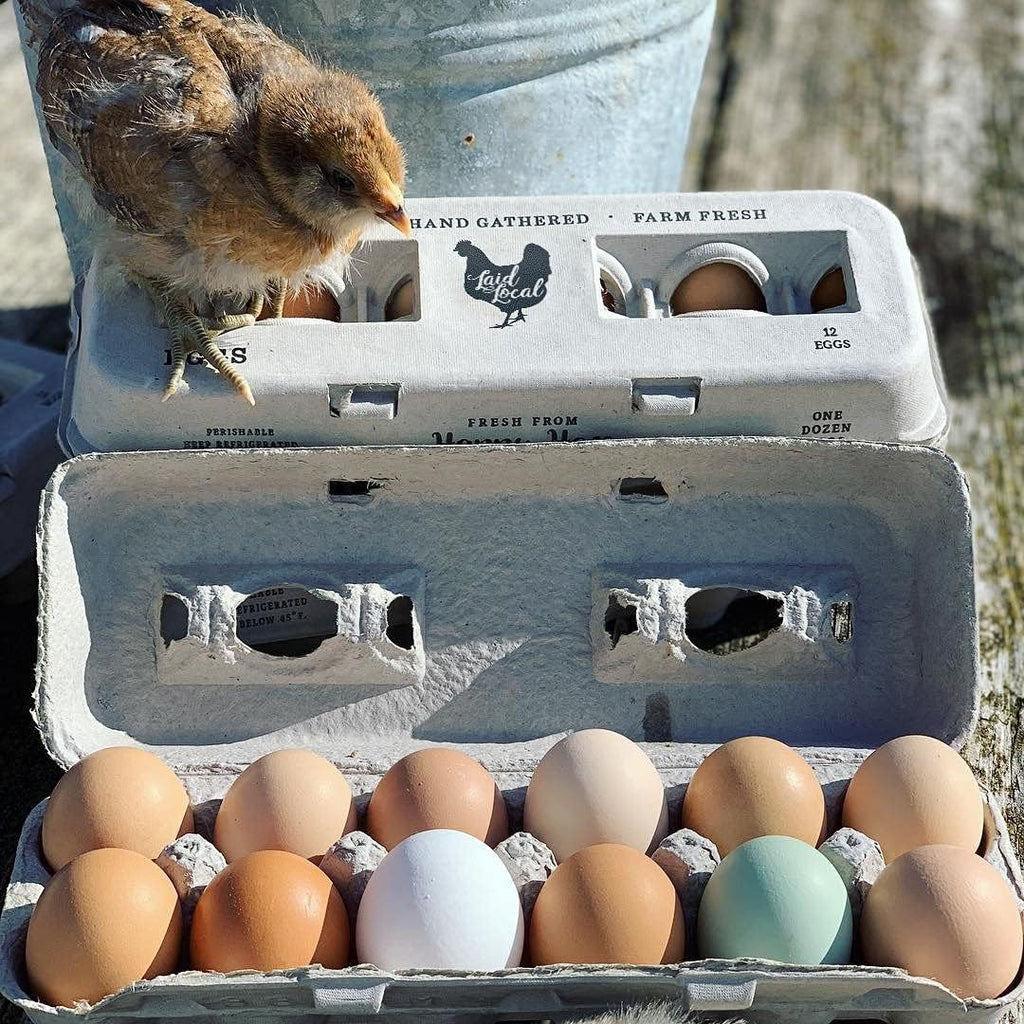 Printed Farm Fresh Egg Cartons - Holds Up to XL Chicken Eggs (25, Hen)