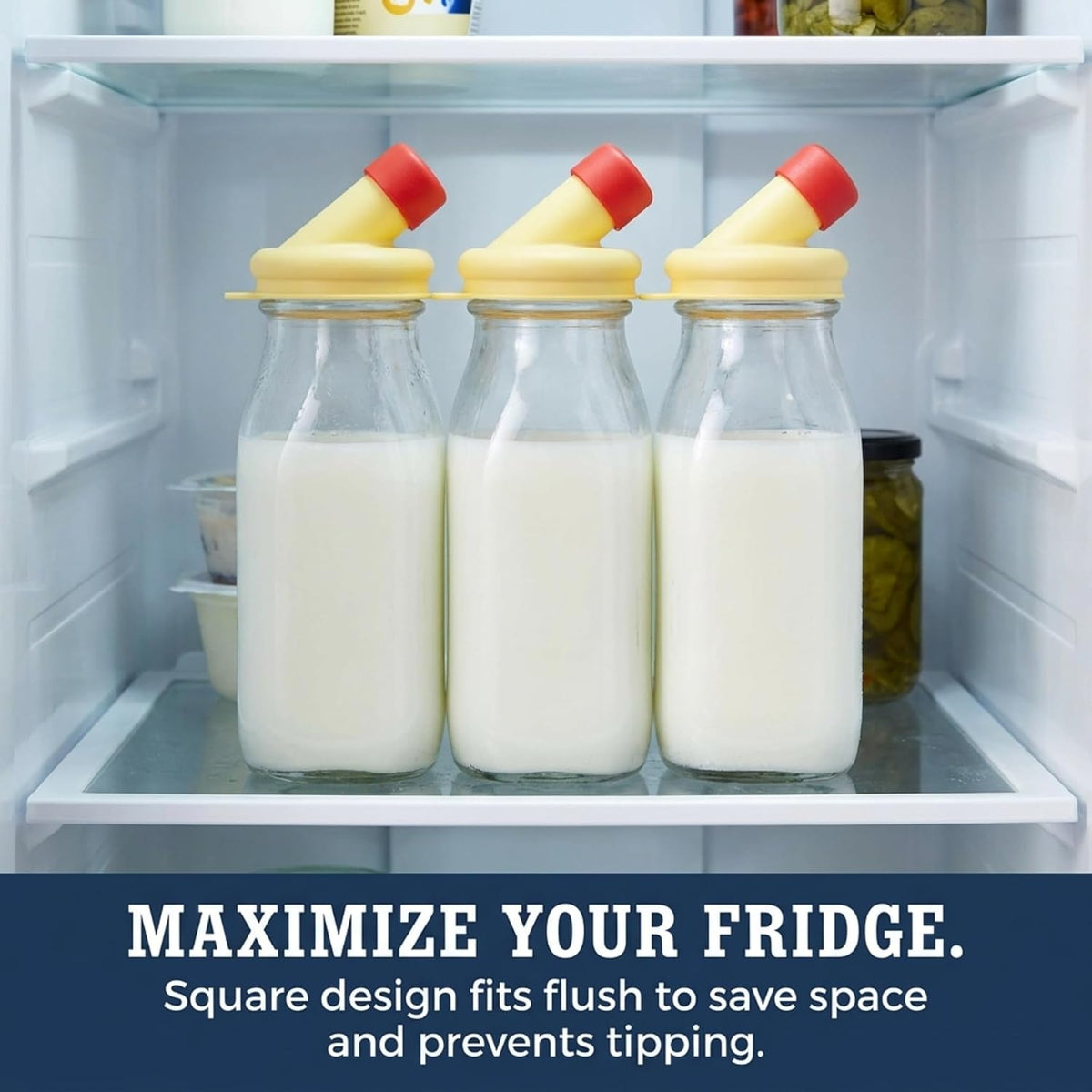kitchentoolz Glass Creamer Bottle 12 Oz Square Glass Milk Bottle with