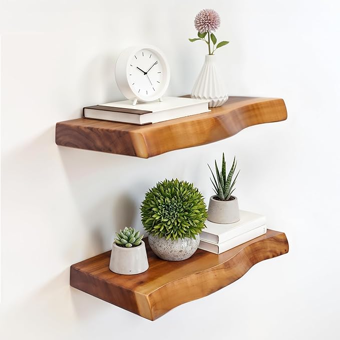 Solid Wood Floating Shelves Set of 2 by Gamoora