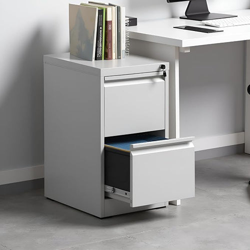 2 Drawer File Cabinet with Lock, Vertical Metal Filing Cabinet Under Desk by EKJOfficials