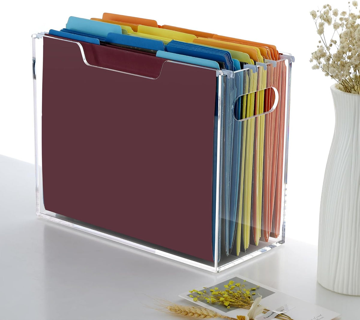 DINGHUO Acrylic File Folder Organizer, Hanging File Organizer Box