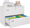 2 Drawer Lateral File Cabinet by SISESOL