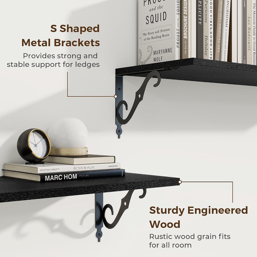 RICHFOCUS 12 Inch Deep Floating Shelves for Wall, 16" W x 12" D Black