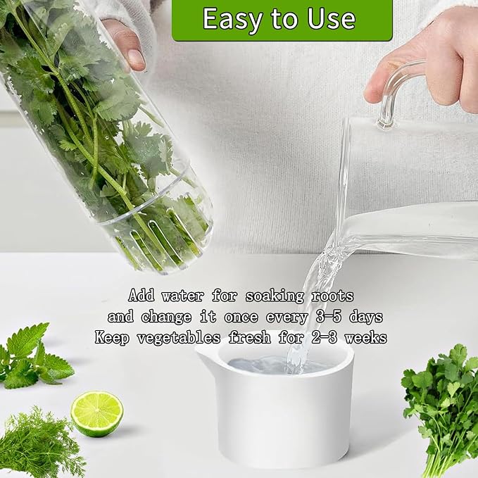 Herb Saver for Refrigerator, Herb Saver Pod Cilantro Containers for Refrigerator - Image 3