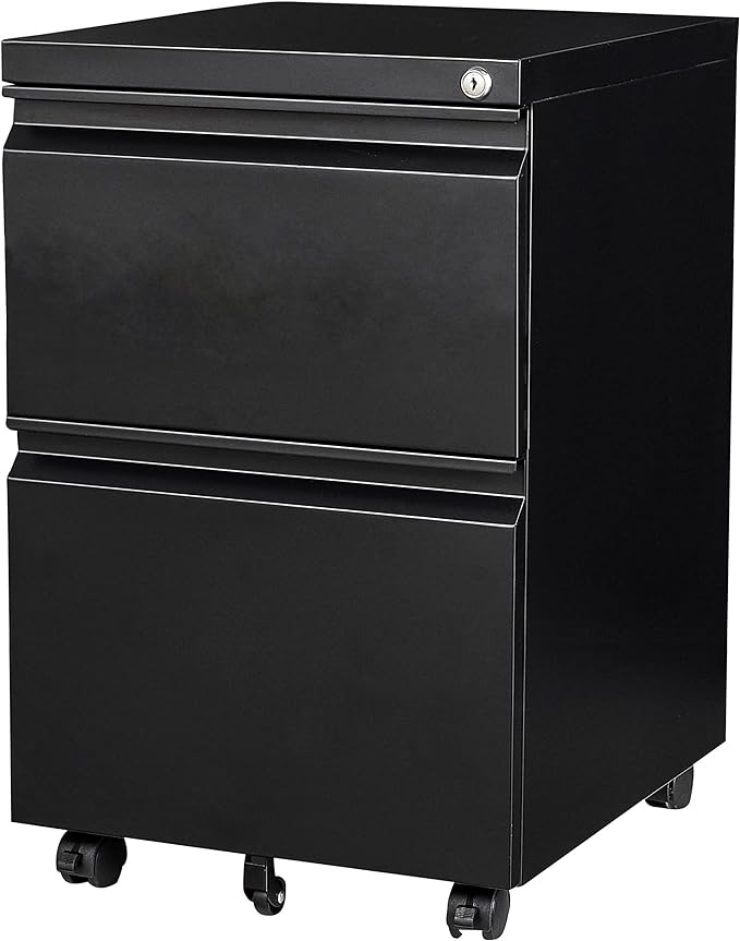 SISESOL 2 Drawer File Cabinet on Wheels, Metal Filing Cabinet by SISESOL