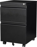 SISESOL 2 Drawer File Cabinet on Wheels, Metal Filing Cabinet by SISESOL