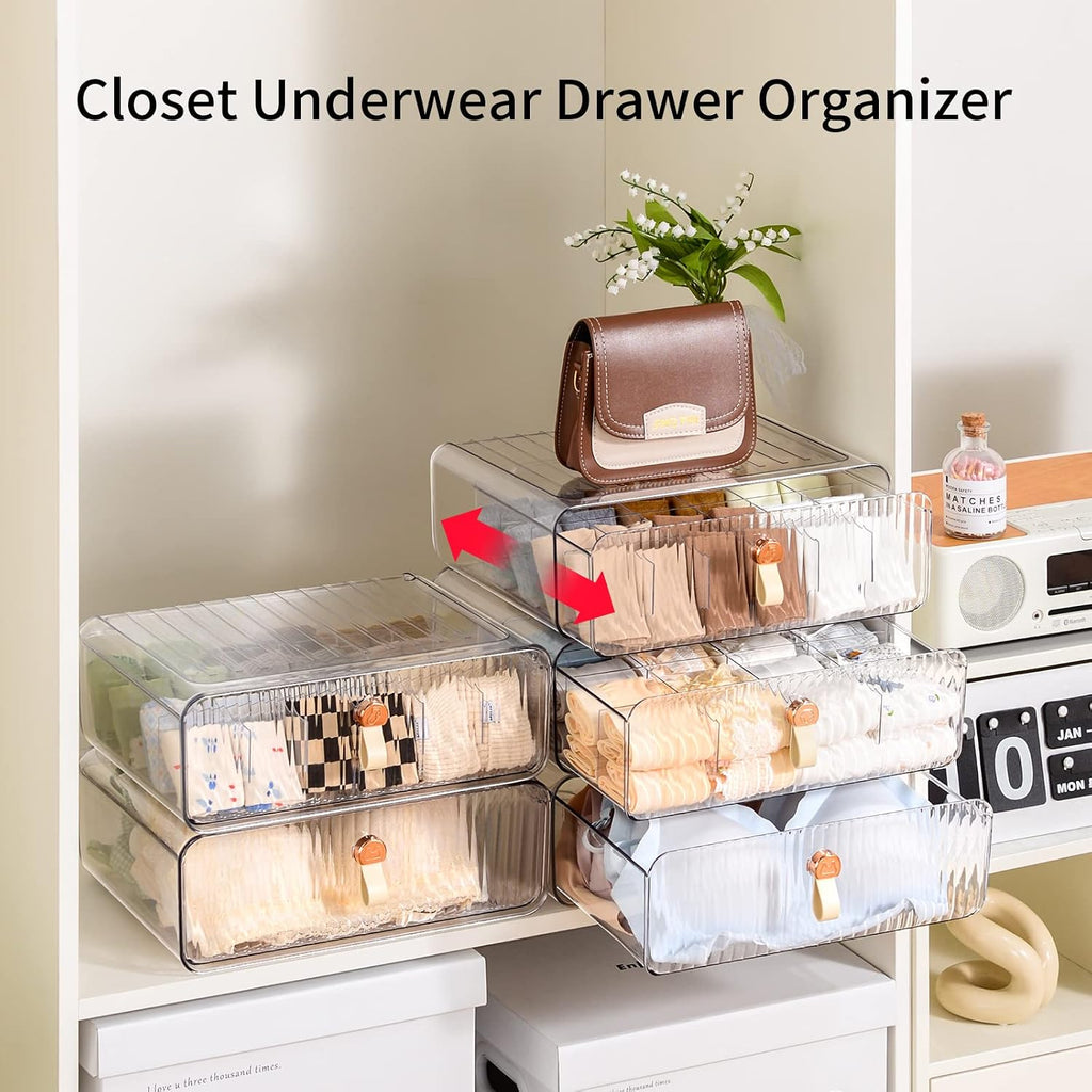 Underwear Drawer Organizer, Stackable Bra Organizer for Closet, 1 Cell