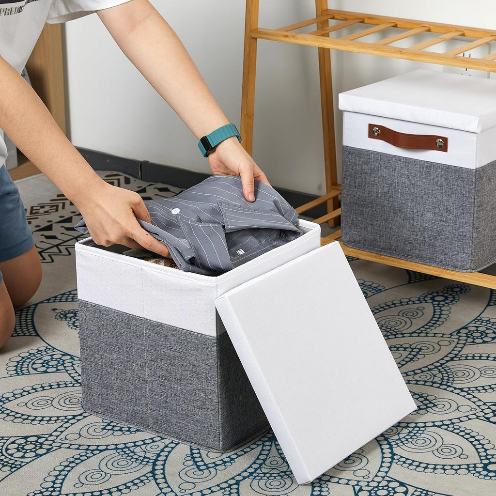 Foldable Fabric Storage Bins with Lids, 2-Pack Storage Bin for