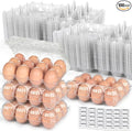 LOVEINUSA 100 PCS 12 Count Plastic Egg Cartons, by LoveInUsa