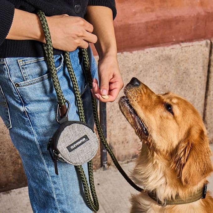 Snackpack Double Insulated Dog Treat Pouch - Image 3