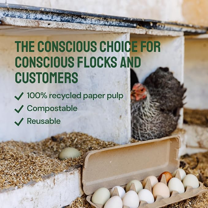 Hatortempt Reusable Paper Pulp Egg Cartons - Image 9