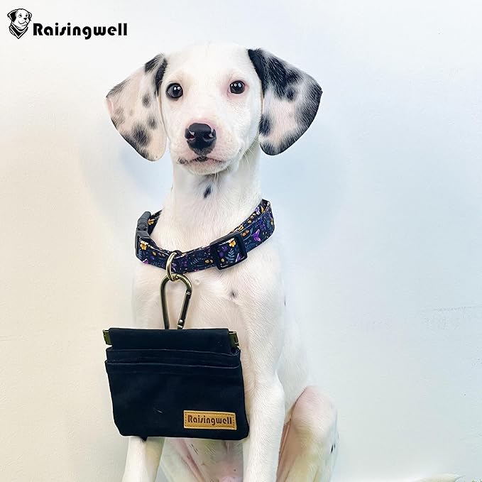 Dog Treat Pouch, Cotton Fabric, Hand Free Dog Walking Bag - Image 6