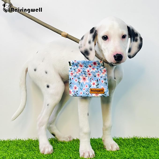 Dog Treat Pouch, Small Cotton Pocket Sized Training Holder, Hand Free Walking - Image 5
