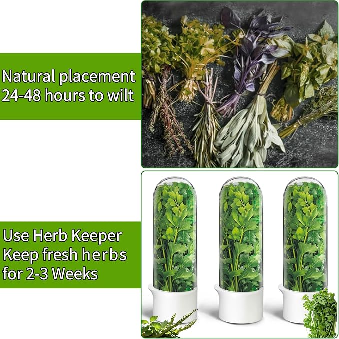 Herb Saver for Refrigerator, Herb Saver Pod Cilantro Containers for Refrigerator - Image 6