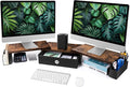 Dual Monitor Stand Riser With Drawer, Office Desk Organizers and Accessories by RUILALIFE