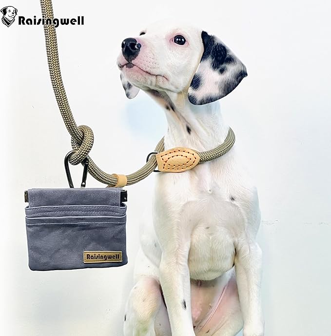 Dog Treat Pouch, Small Cotton Pocket Sized Training Holder, Hand Free Walking - Image 6