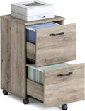 VASAGLE 2-Drawer File Cabinet, Small Rolling Filing Cabinet by VASAGLEbySONGMICSHOME