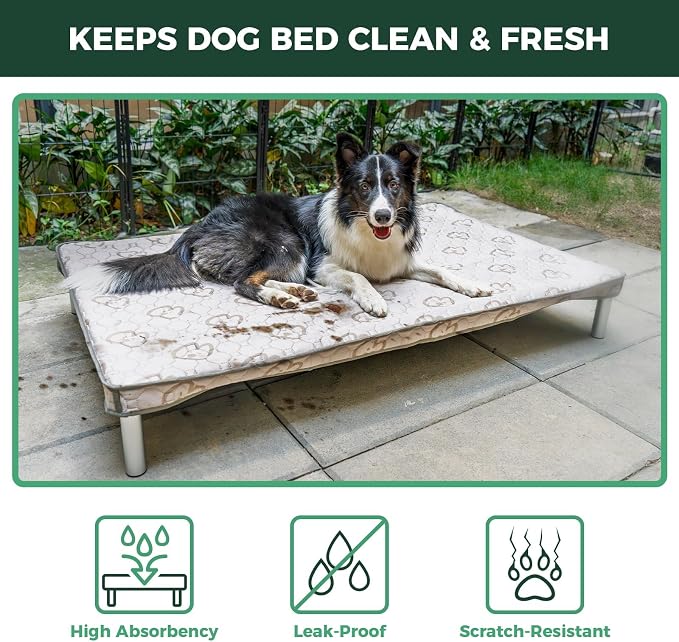 FXW TitanNest Chew-Proof Elevated Dog Bed, Raised Cot - Image 4
