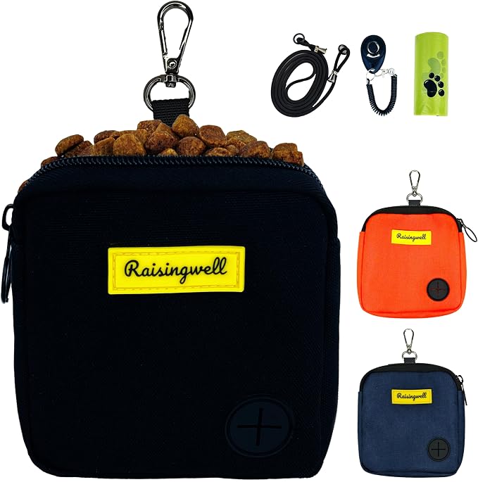 Dog Treat Pouch for Pet Walking and Training by Raisingwell