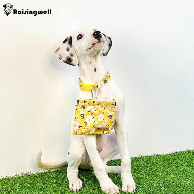 Dog Treat Pouch, Pocket Sized Pet Training Pouch, Cotton Fabric, Hand Free - Image 5