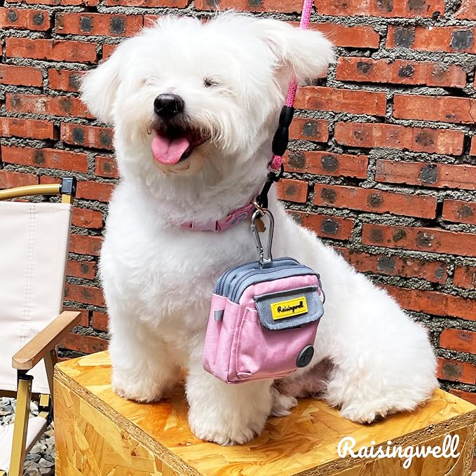 Dog Treat Pouch for Pet Walking and Training - Image 6