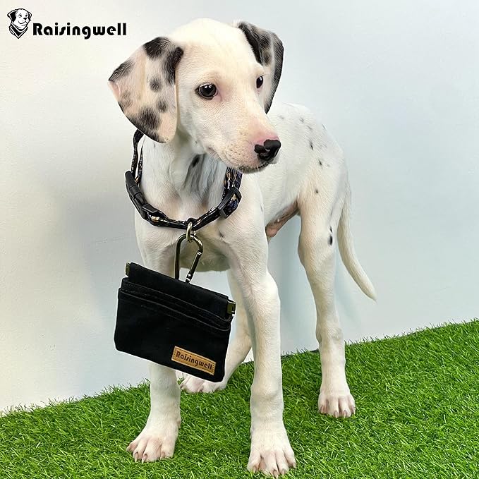 Dog Treat Pouch, Cotton Fabric, Hand Free Dog Walking Bag - Image 5
