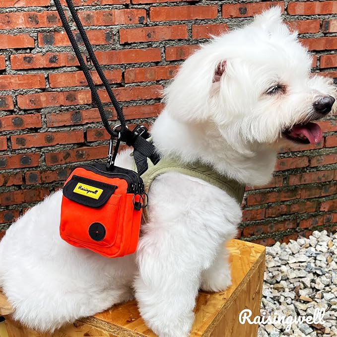 Dog Treat Pouch for Pet Walking and Training - Image 6